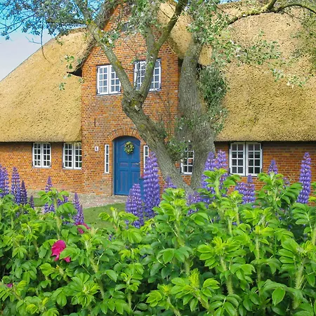 Daire S3 Im Friesenhaus Sara Wenningstedt-Braderup